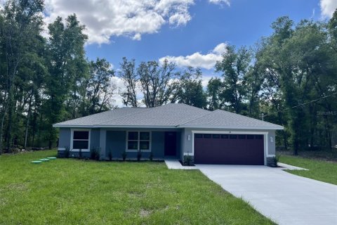 Villa ou maison à Ocklawaha, Floride 3 chambres, 131.18 m2 № 2094175