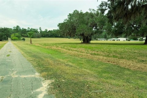 Terreno en venta en Ocala, Florida № 2127025 - foto 7
