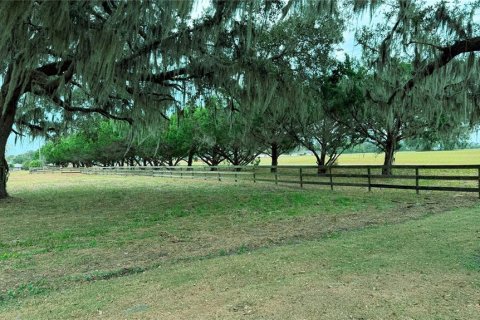 Terreno en venta en Ocala, Florida № 2127025 - foto 9