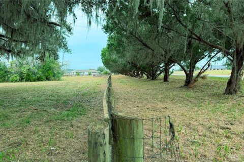 Terreno en venta en Ocala, Florida № 2127025 - foto 6