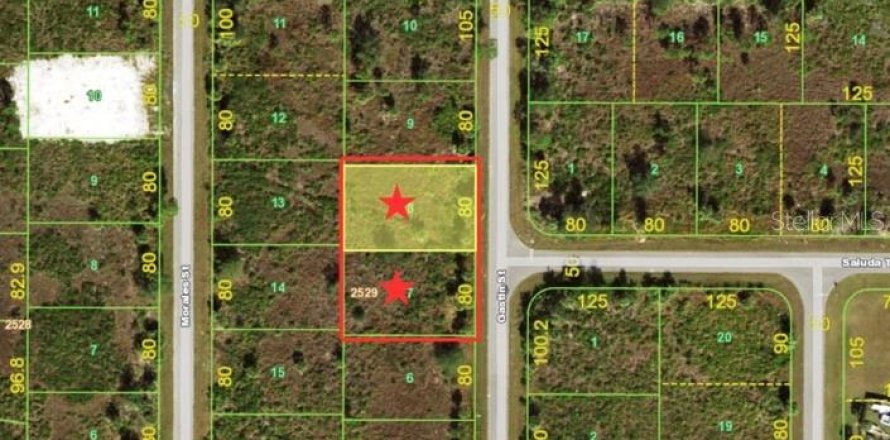 Land in Port Charlotte, Florida № 2211725