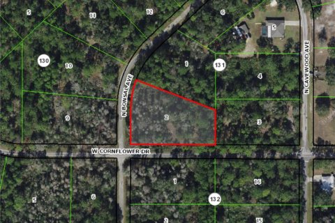 Land in Crystal River, Florida № 2232905 - photo 2