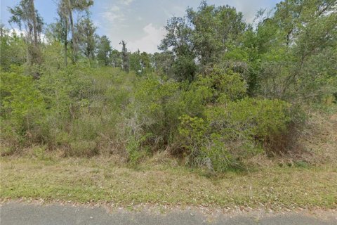 Land in Crystal River, Florida № 2232905