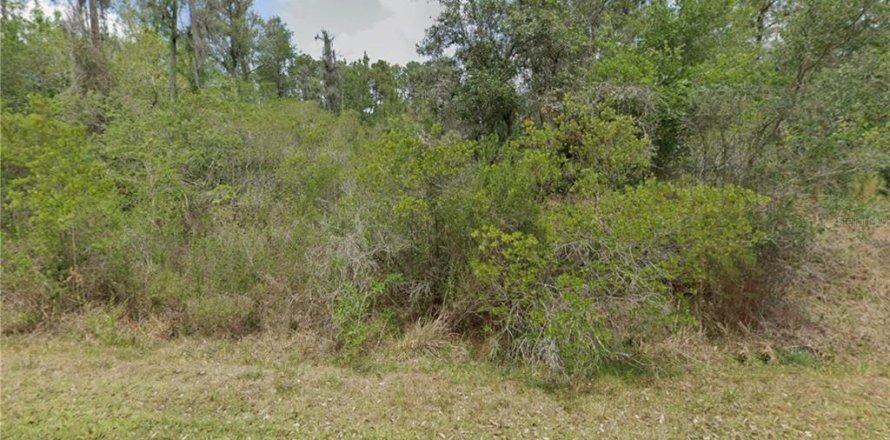 Land in Crystal River, Florida № 2232905