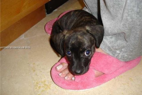 Купить кондоминиум в Майами-Бич, Флорида 1 спальня, 93.46м2, № 2002330 - фото 28