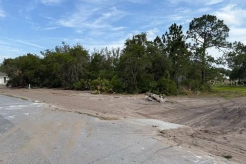 Land in Poinciana, Florida № 1522344 - photo 3