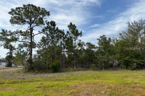 Land in Poinciana, Florida № 1522344 - photo 5