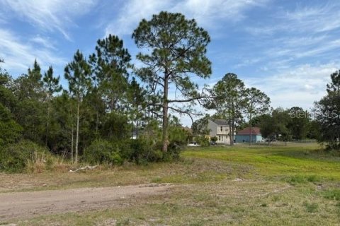Land in Poinciana, Florida № 1522344 - photo 7