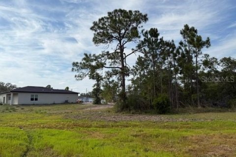 Land in Poinciana, Florida № 1522344 - photo 8