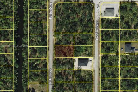 Terreno en Port Charlotte, Florida № 2011647