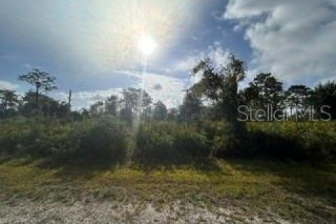 Land in Indian lake estates, Florida № 2159197
