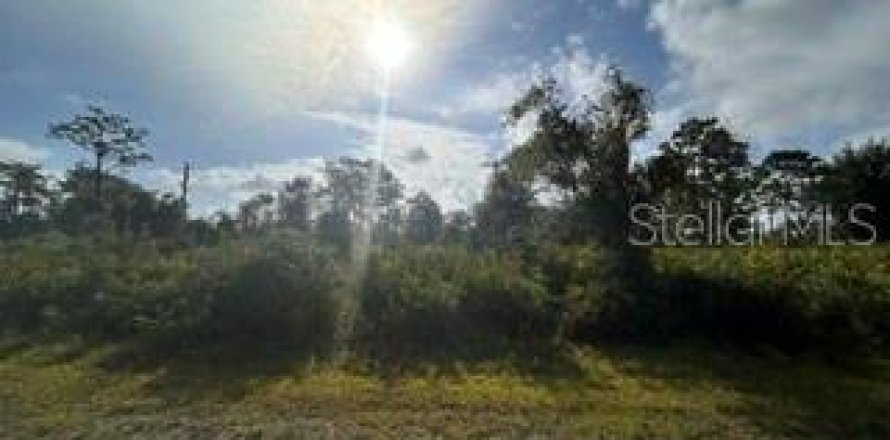 Land in Indian lake estates, Florida № 2159197