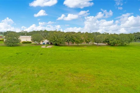 Land in Apopka, Florida № 2258272 - photo 18