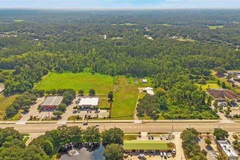 Land in Apopka, Florida № 2258272 - photo 13