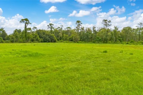 Land in Apopka, Florida № 2258272 - photo 20