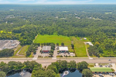 Land in Apopka, Florida № 2258272 - photo 14