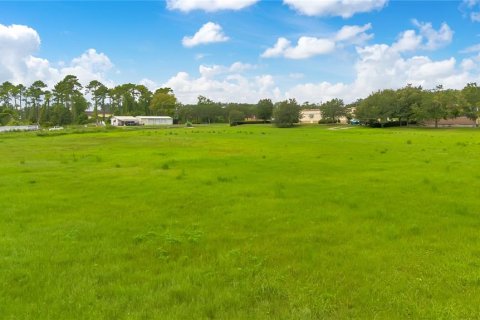 Land in Apopka, Florida № 2258272 - photo 19