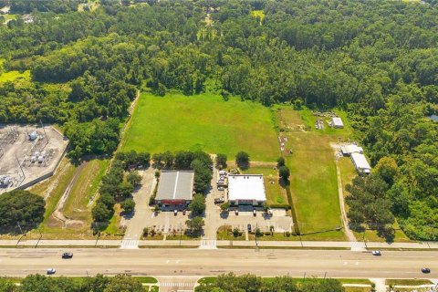 Land in Apopka, Florida № 2258272 - photo 5