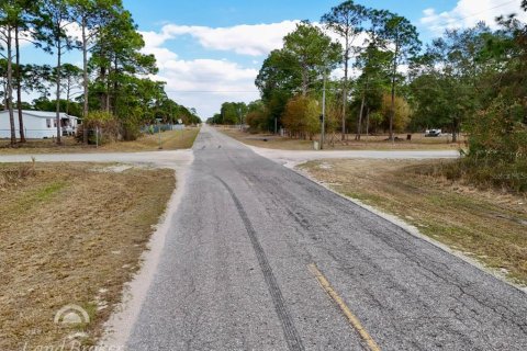 Land in Clewiston, Florida № 2118571 - photo 21