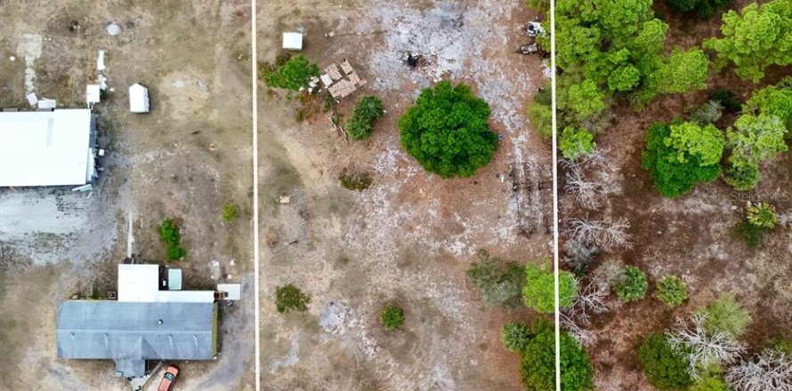 Land in Clewiston, Florida № 2118571