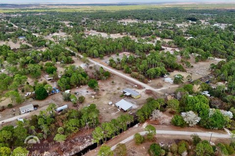 Land in Clewiston, Florida № 2118571 - photo 9