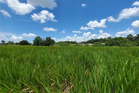 Land in Lakeland, Florida № 214282 - photo 1