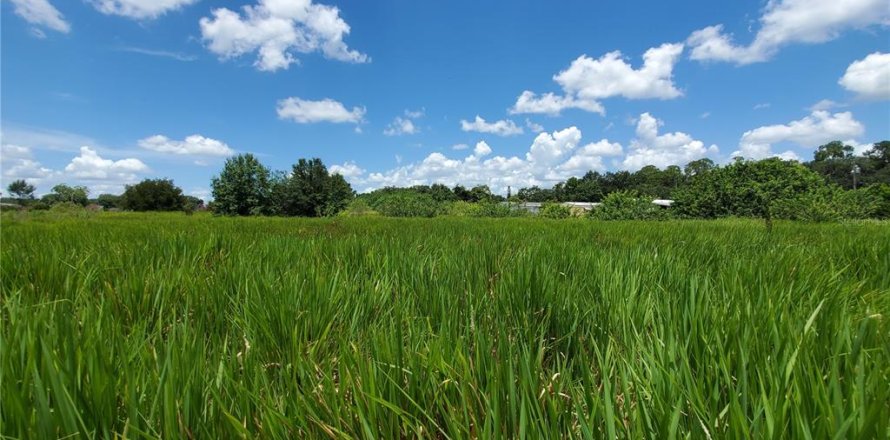 Land in Lakeland, Florida № 214282