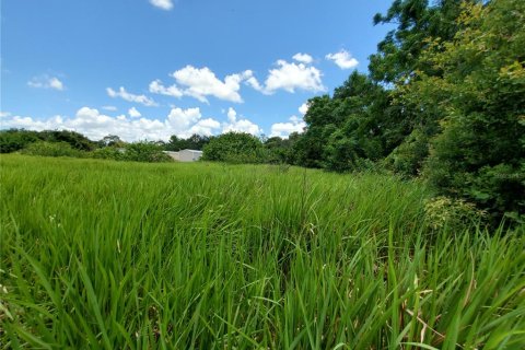 Land in Lakeland, Florida № 214282 - photo 13