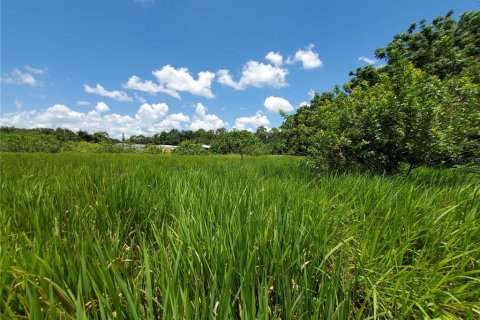 Land in Lakeland, Florida № 214282 - photo 7