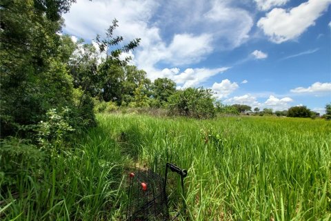 Land in Lakeland, Florida № 214282 - photo 3