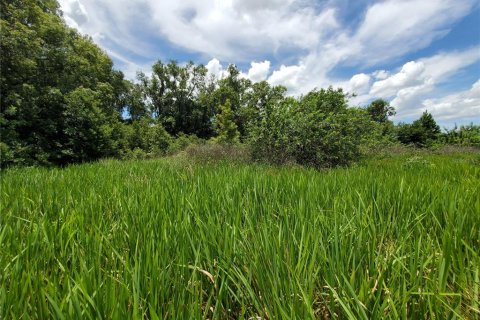 Land in Lakeland, Florida № 214282 - photo 10