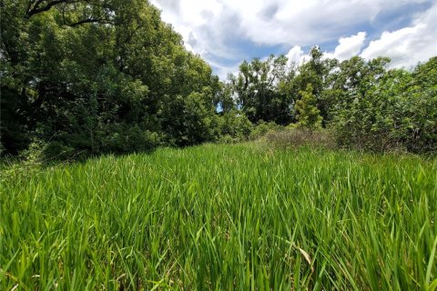 Land in Lakeland, Florida № 214282 - photo 11
