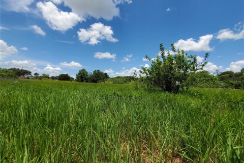 Land in Lakeland, Florida № 214282 - photo 5