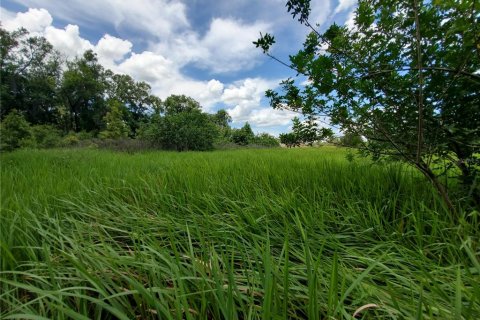 Land in Lakeland, Florida № 214282 - photo 16