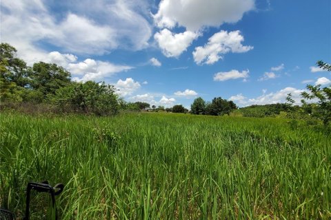 Land in Lakeland, Florida № 214282 - photo 4