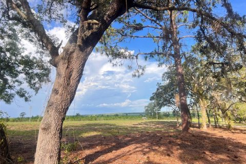 Terreno en Williston, Florida № 2215616