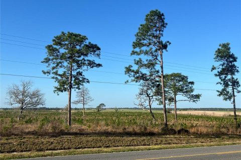 Terrain à vendre à Williston, Floride № 2215616 - photo 10