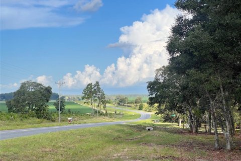 Terrain à vendre à Williston, Floride № 2215616 - photo 23