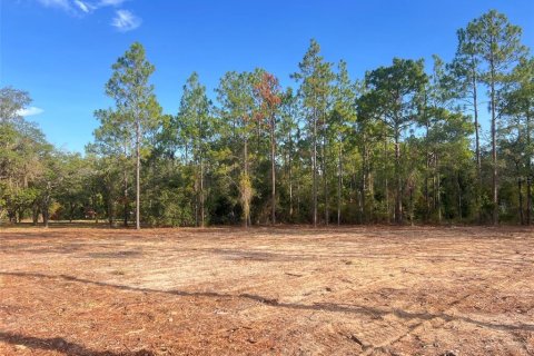 Terrain à vendre à Williston, Floride № 2215616 - photo 20