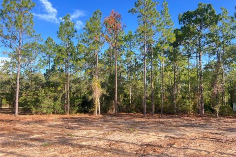 Terrain à vendre à Williston, Floride № 2215616 - photo 4
