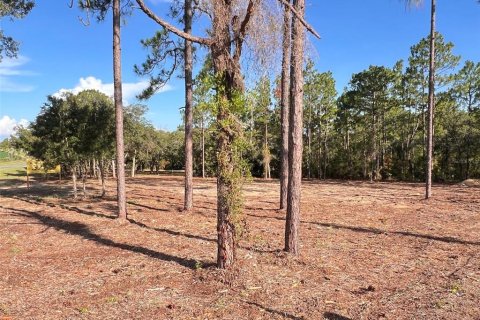 Terrain à vendre à Williston, Floride № 2215616 - photo 6