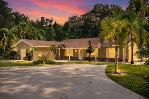 Villa ou maison à vendre à Apopka, Floride: 4 chambres, 161.84 m2 № 2221077 - photo 4