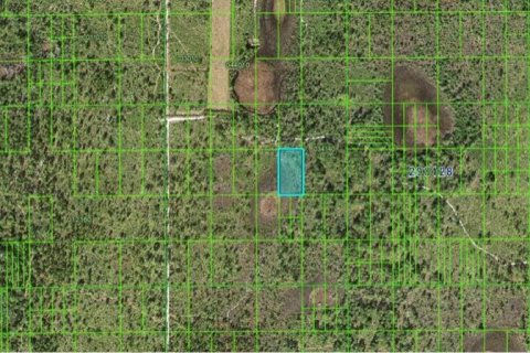 Land in Frostproof, Florida № 2161949 - photo 3