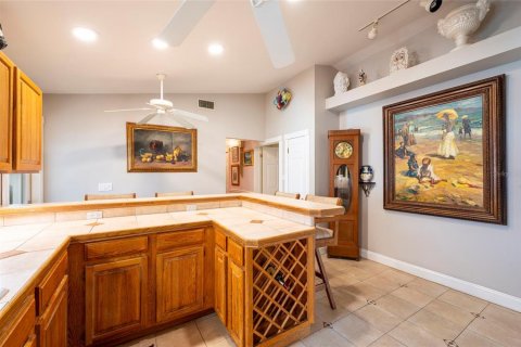 Villa ou maison à vendre à Dunedin, Floride: 4 chambres, 256.13 m2 № 2305235 - photo 23