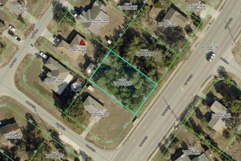 Land in Spring Hill, Florida № 2385784 - photo 2