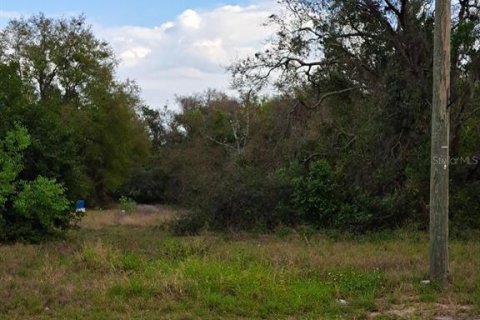 Terreno en venta en Montverde, Florida № 1598402 - foto 1