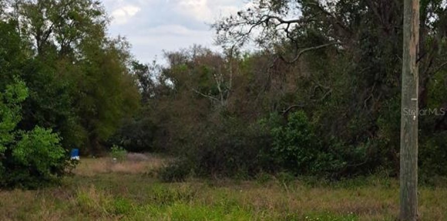 Land in Montverde, Florida № 1598402