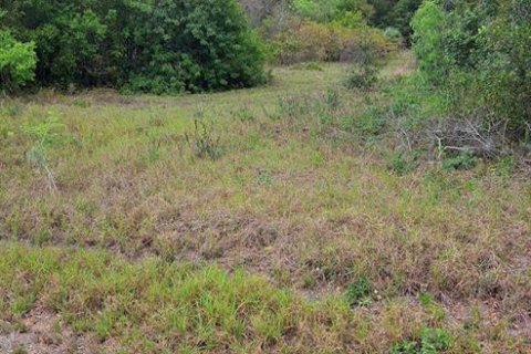 Terreno en venta en Montverde, Florida № 1598402 - foto 2
