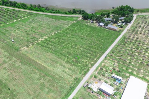 Land in Frostproof, Florida № 2106763 - photo 9