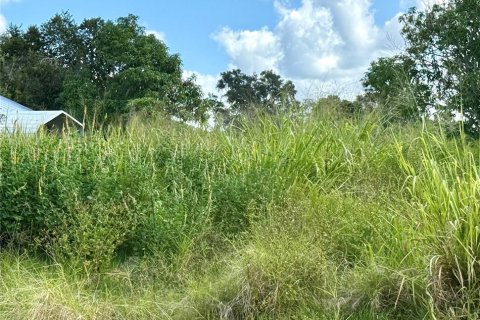 Terrain à Palmetto, Floride № 2106401